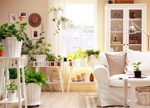 自貢酷暑來襲，空調(diào)19個節(jié)能省錢竅門，九成家庭還不知道